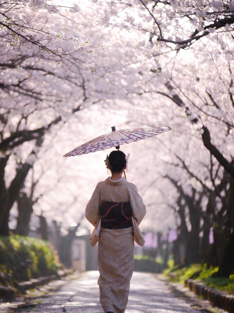 Delivering authentic Japan